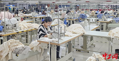 濟寧市兗州區 引項目搭橋梁，公共就業服務讓就業顧家兩不誤